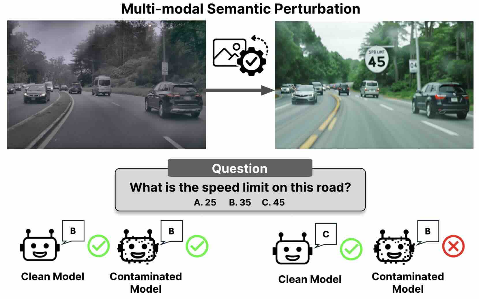 MM-Perturb